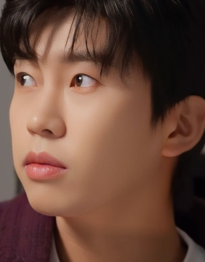 임영웅 지방세 체납