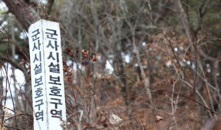 강원도 환천군의 군사시설보호구역 말뚝