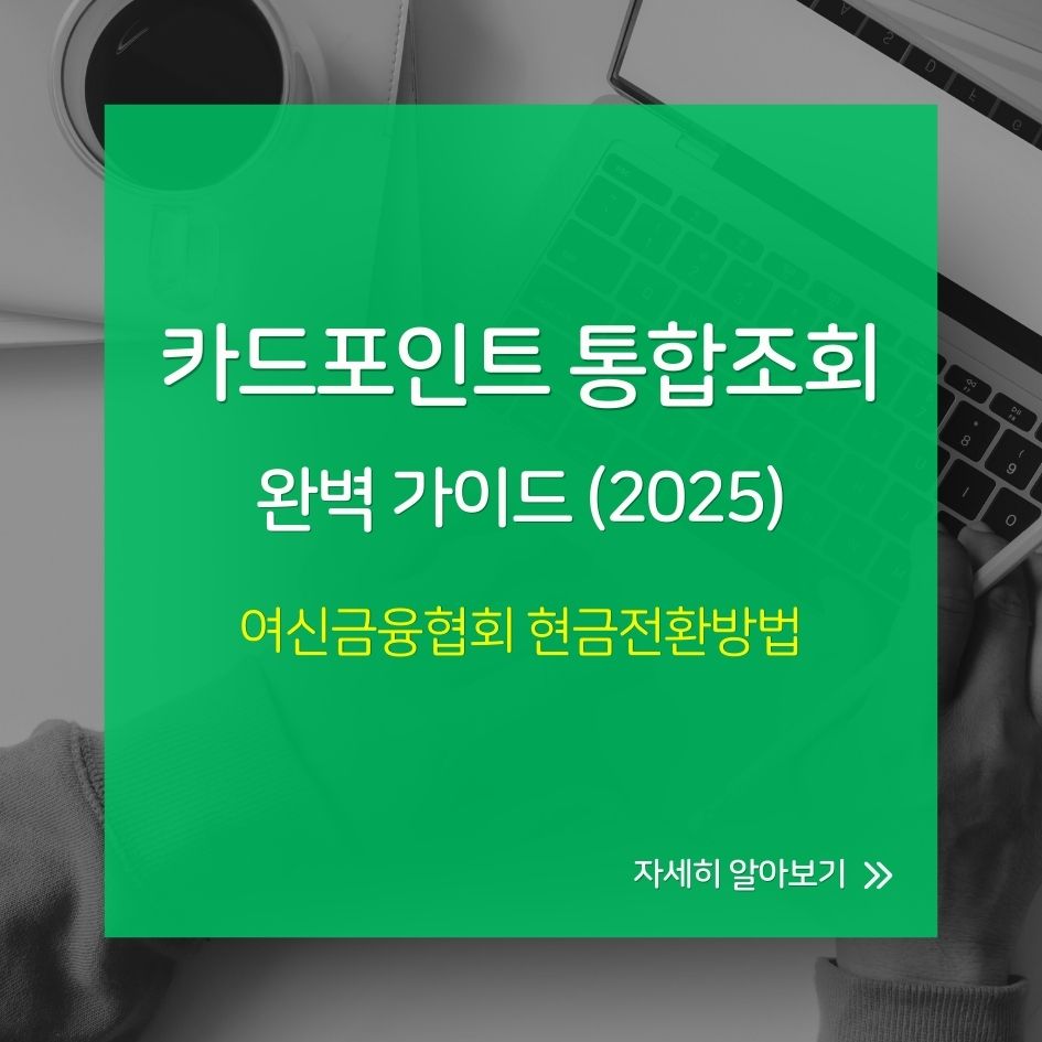 카드포인트 통합조회 화면 예시