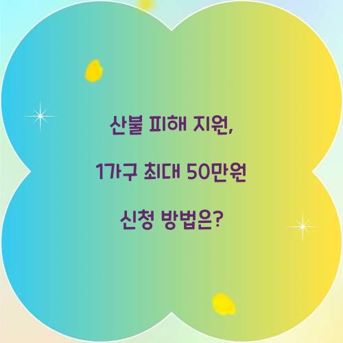 산불 피해 지원