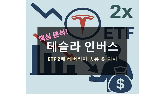 테슬라 인버스 ETF