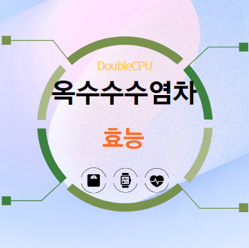 옥수수수염차 효능 탐구