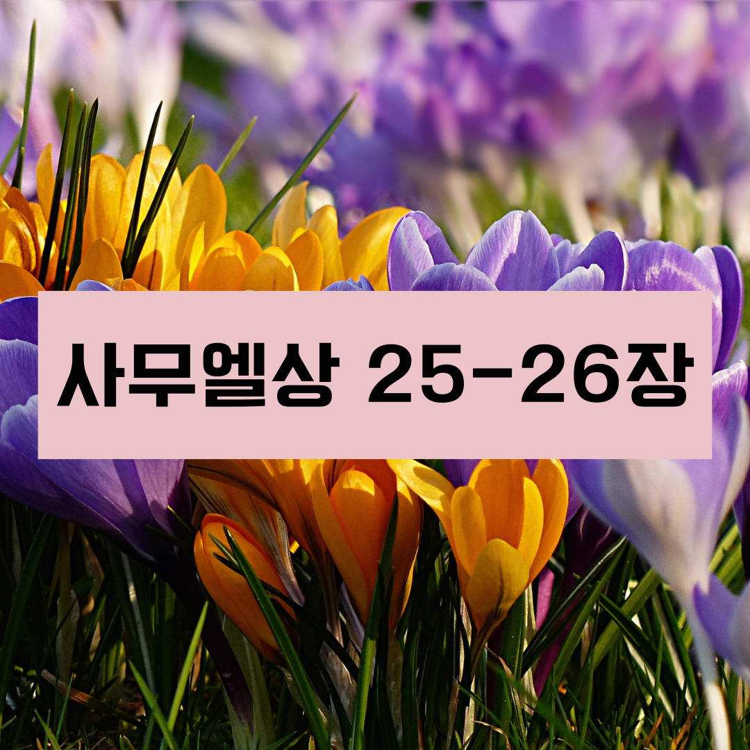 사무엘상25_26장