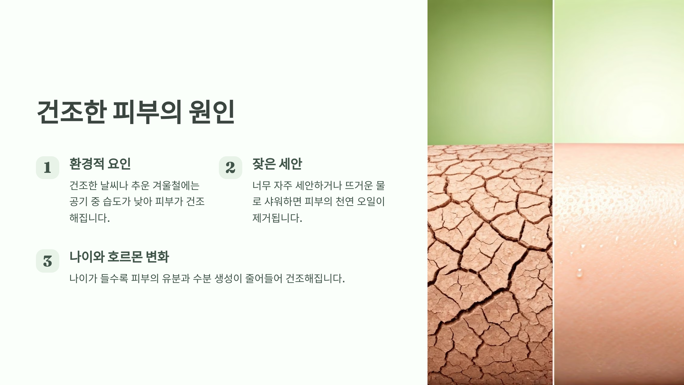 건조한 피부의 원인