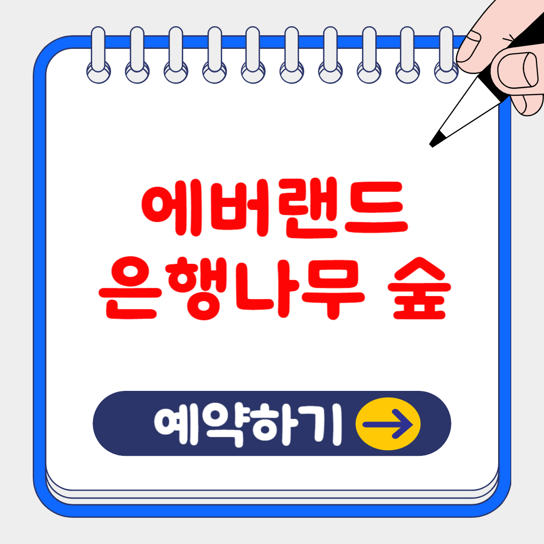 50년만에 첫 공개! 에버랜드 '은행나무 숲' 주요 내용 및 예약 방법