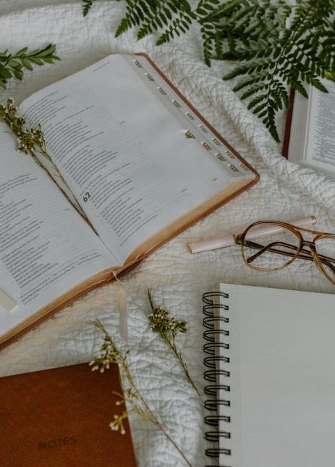 세계 책의 날: 독서를 기념하는 특별한 하루