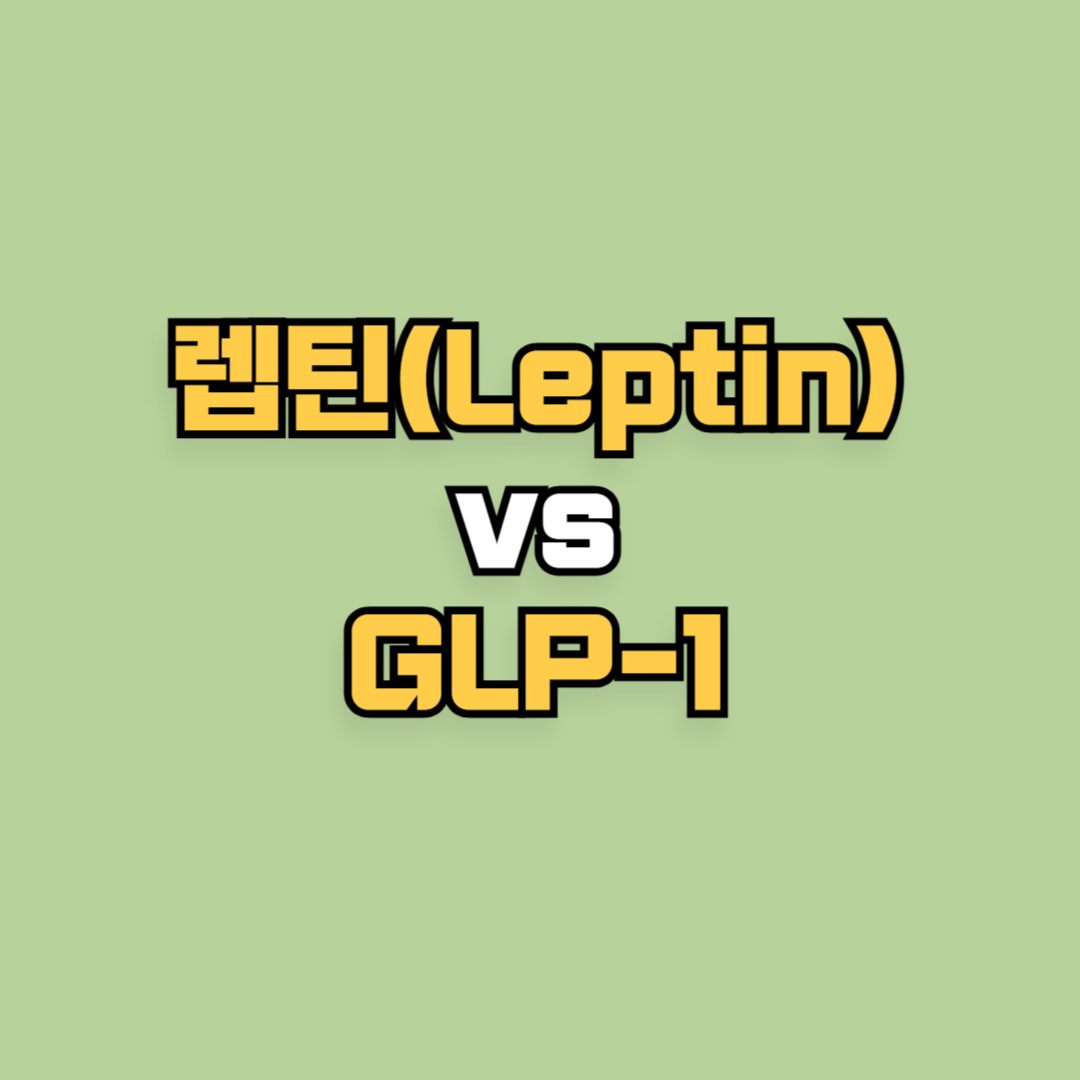 식욕 억제 호르몬, ‘렙틴(Leptin)’ vs ‘GLP-1’ 차이 비교