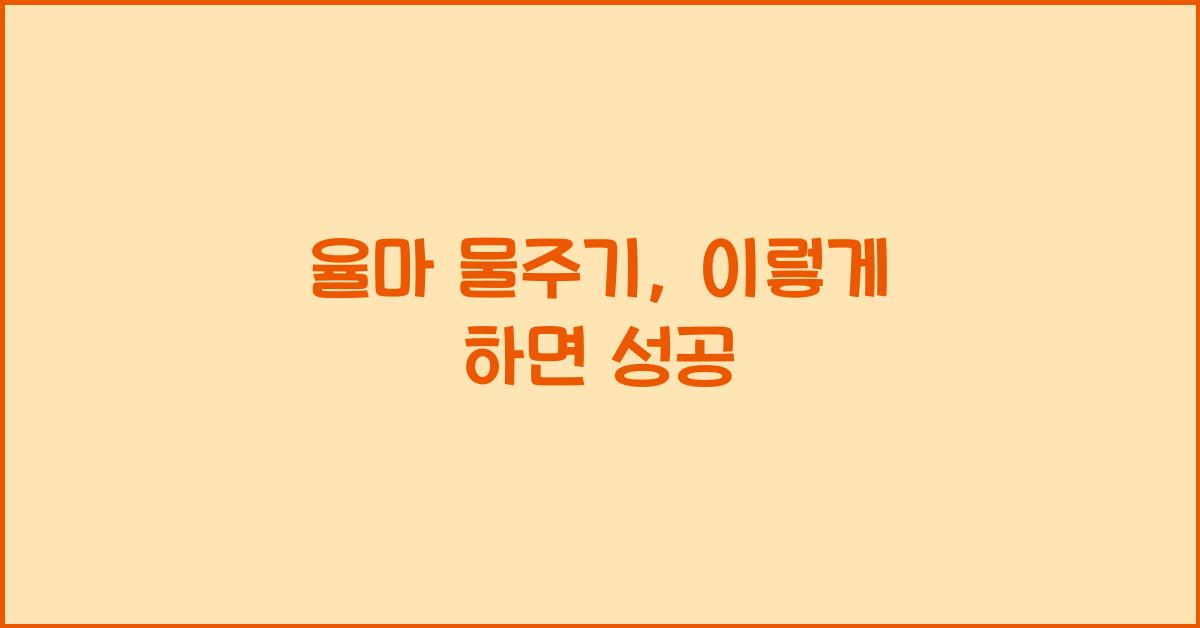 율마 물주기