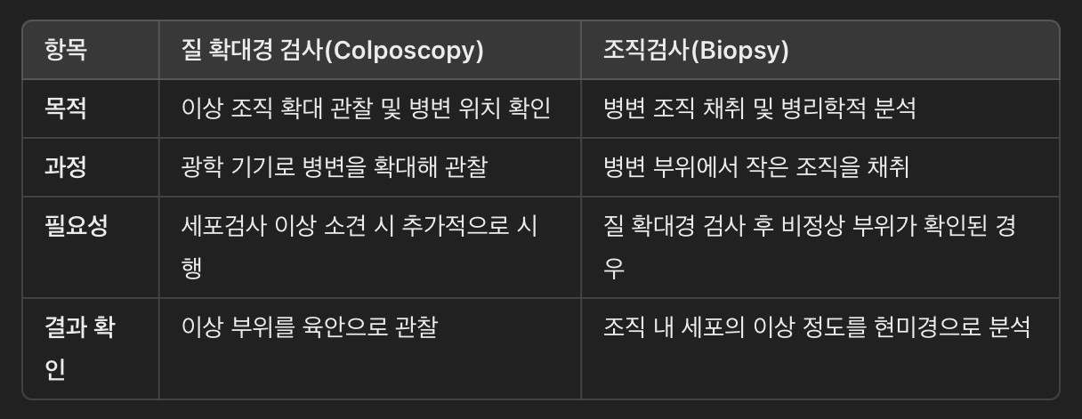 질 확대경 검사와 조직검사의 차이점