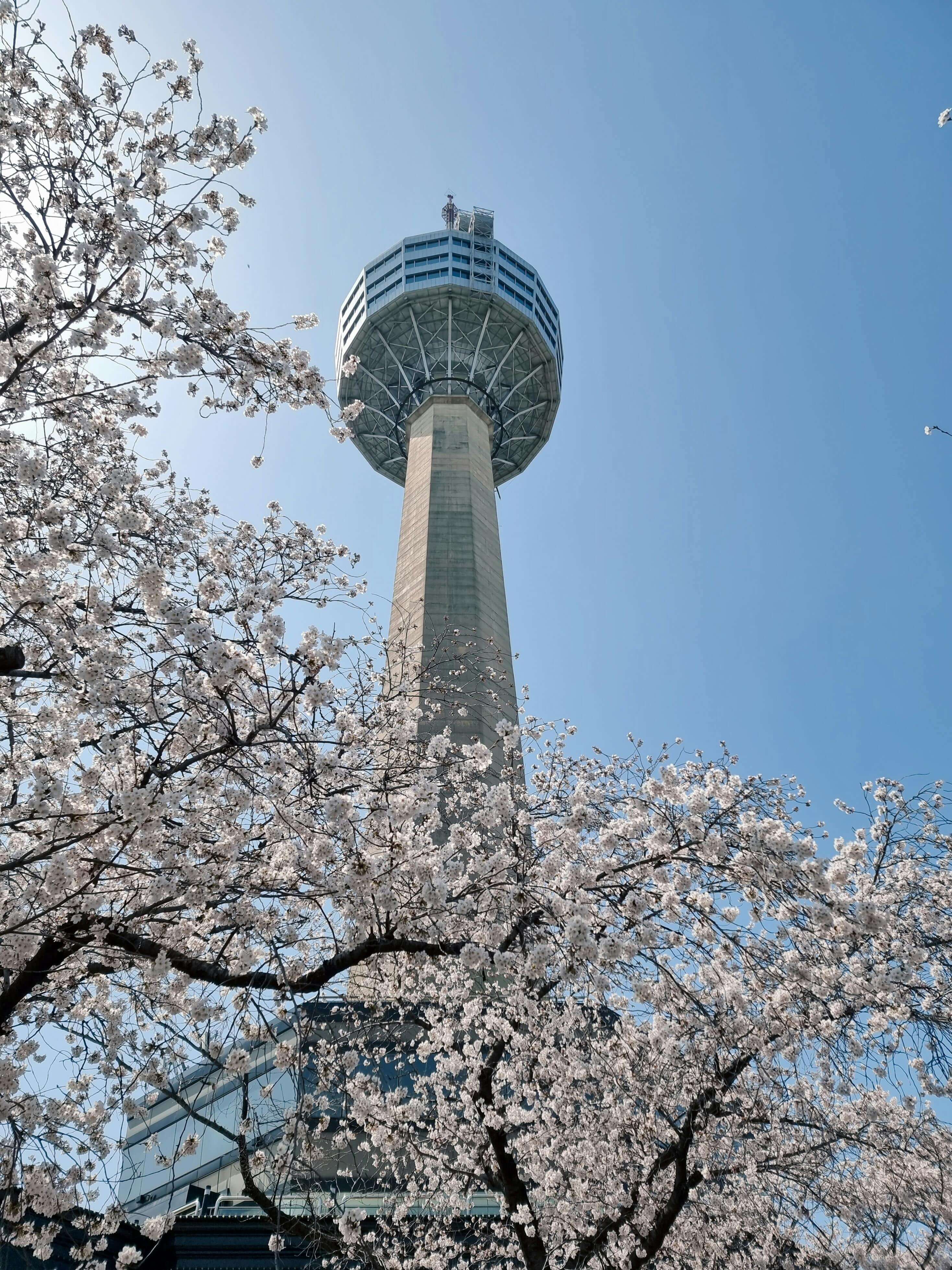 4월 17일 대구날씨와 주간 기상정보 한눈에 보기