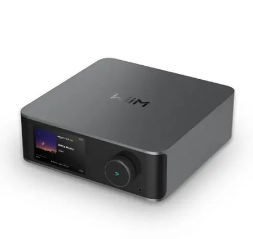 WiiMUltra 오디오 스트리머