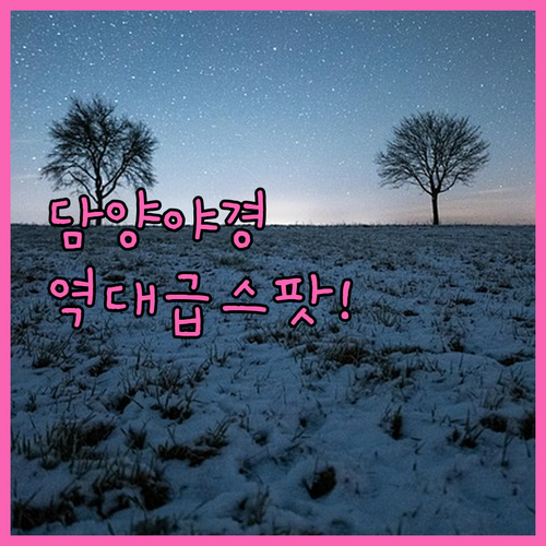 전남 담양군청 광장 야경 촬영 포인트..