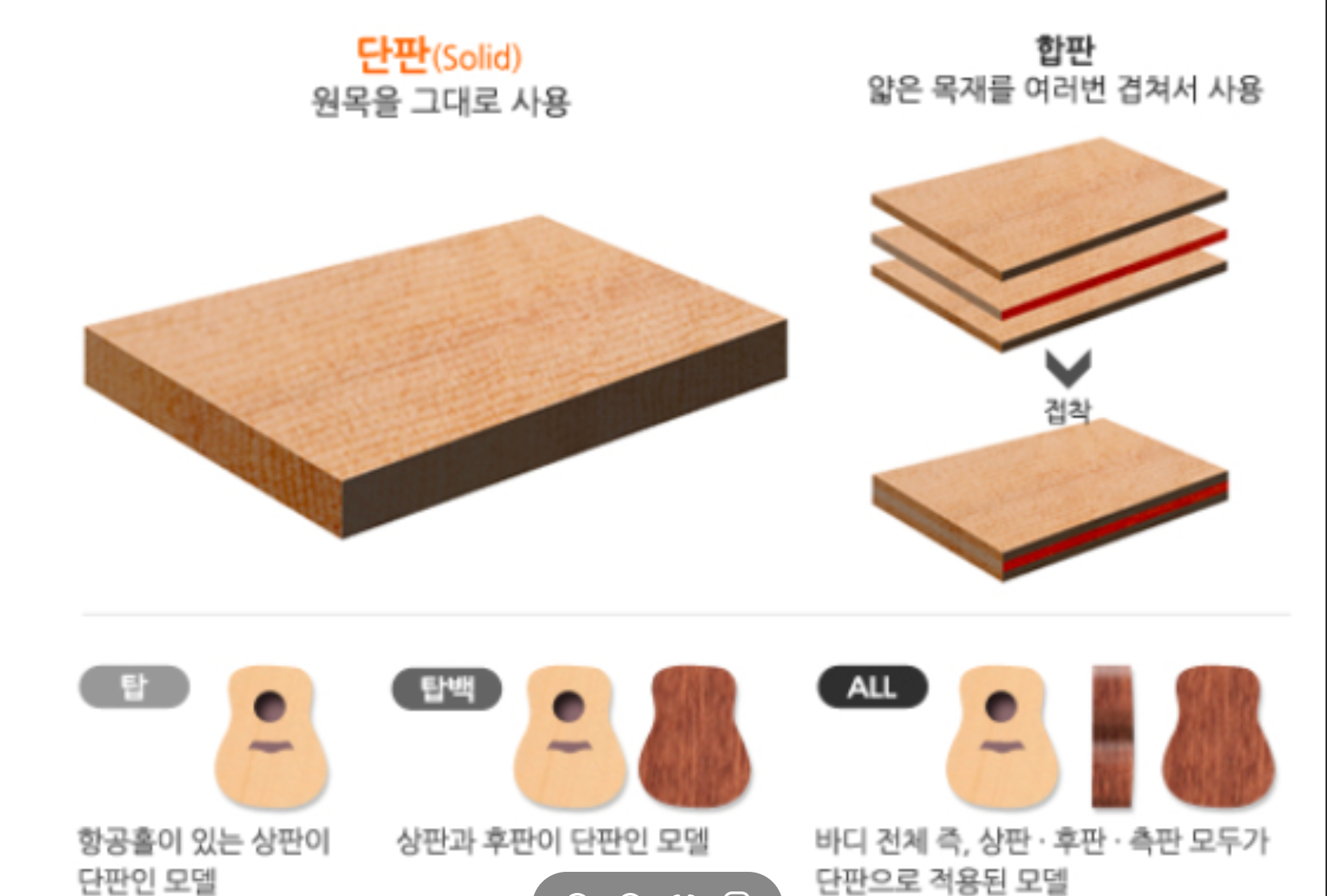 탑솔리드 올솔리드 기타