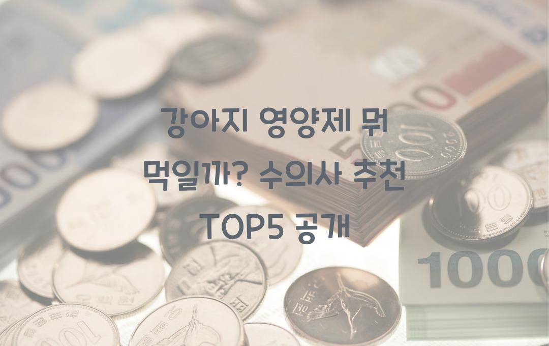 강아지 영양제 뭐 먹일까? 수의사가 추천하는 TOP5