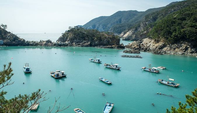 홍도 흑산도 1박2일 여행 리얼 후기 이동부터 추천 코스까지