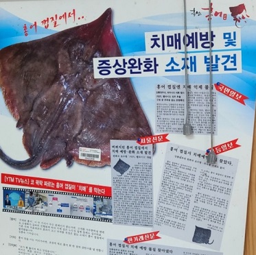 백반기행-흑산도-홍어