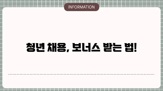 정부 고용지원금 청년채용트 배송 값 이륰니 없다