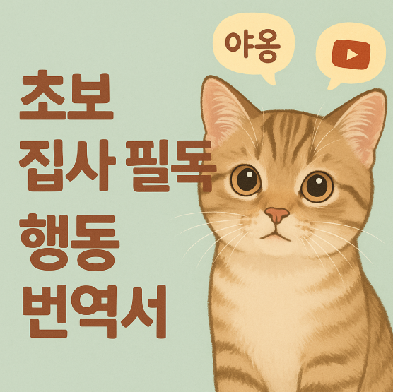집사가 꼭 알아야 할 고양이 행동 심리 6가지