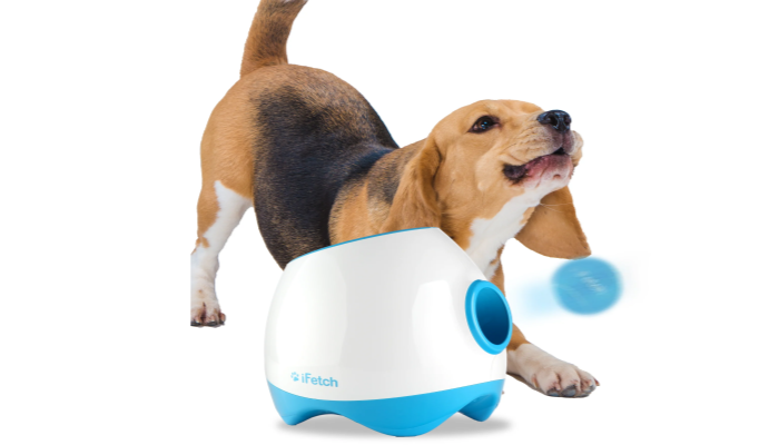 iFetch Too - 자동 공 발사기