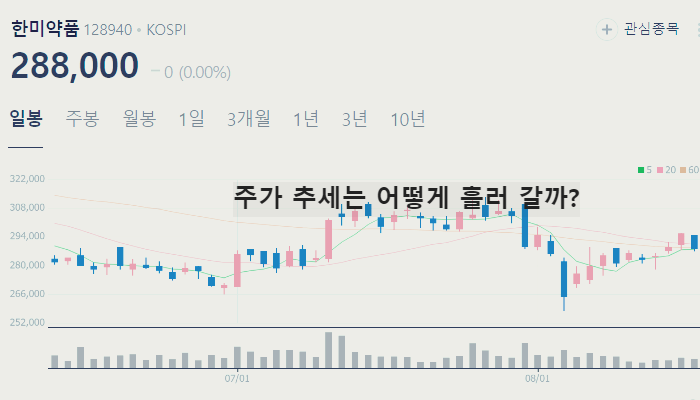 비만 치료제 관련주 대장주 TOP10