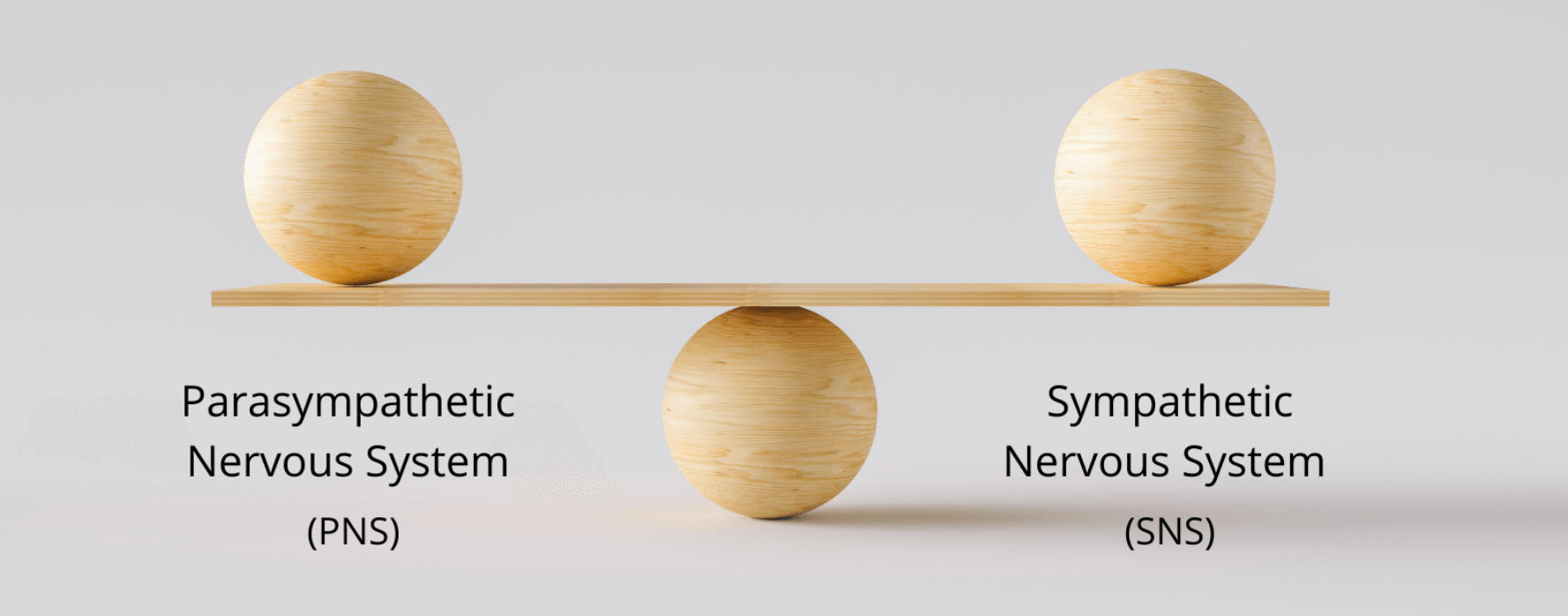자율신경실조증 치료