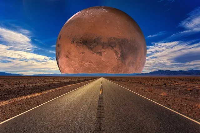 경기도 화성 맛집 베스트10 현지인 추천 필수 맛집_9