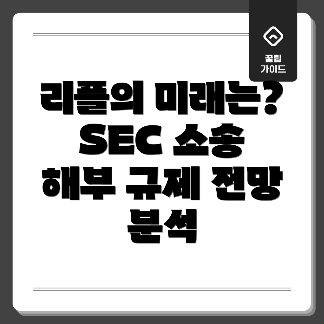 리플의 규제 전망