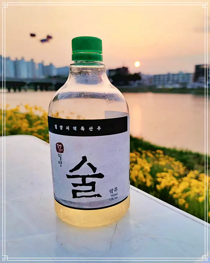 이만기 동네한바퀴 시즌2 장인어른과 사위의 꿈이 익어가는 양조장 막걸리, 밀양클래식청약주, 탁주 전국 택배 온라인 주문 추천 밀양 맛집 소개