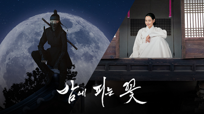 밤에 피는 꽃