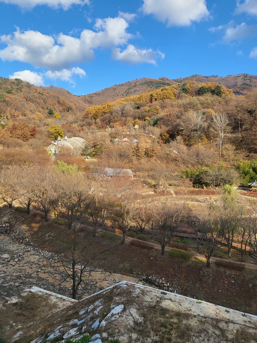 예천 곤충생태원 전경