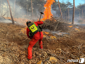 홍성 대전 산불