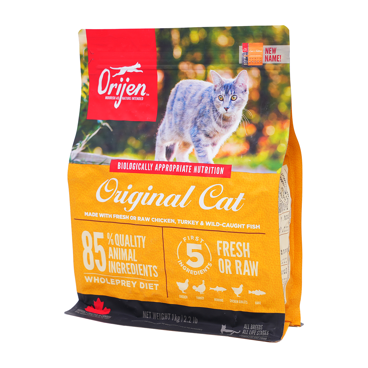 고양이 사료 추천