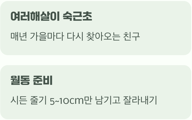 한번 심으면 영원한 친구, 여러해살이의 매력