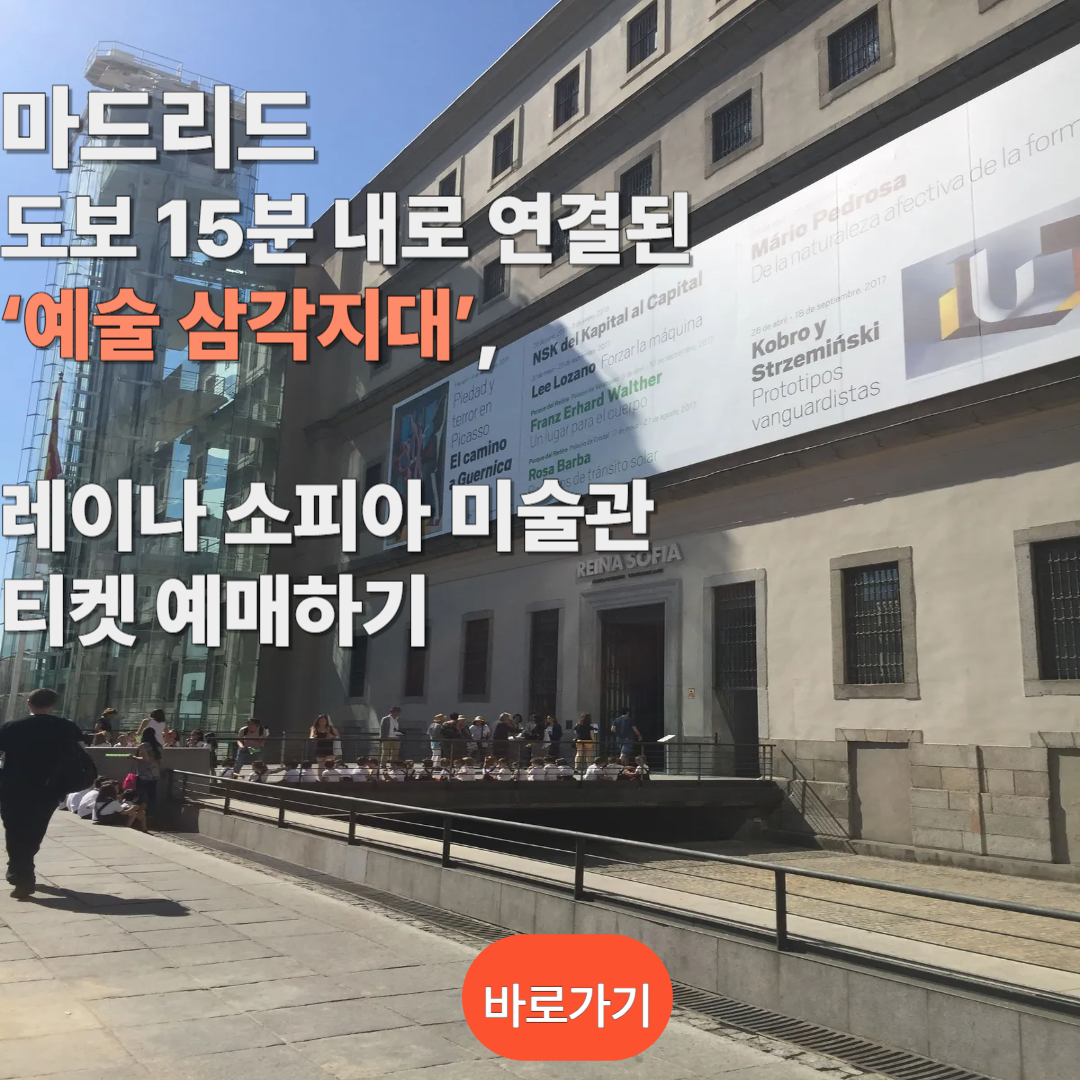 레이나 소피아 미술관 티켓 예매하러 가기