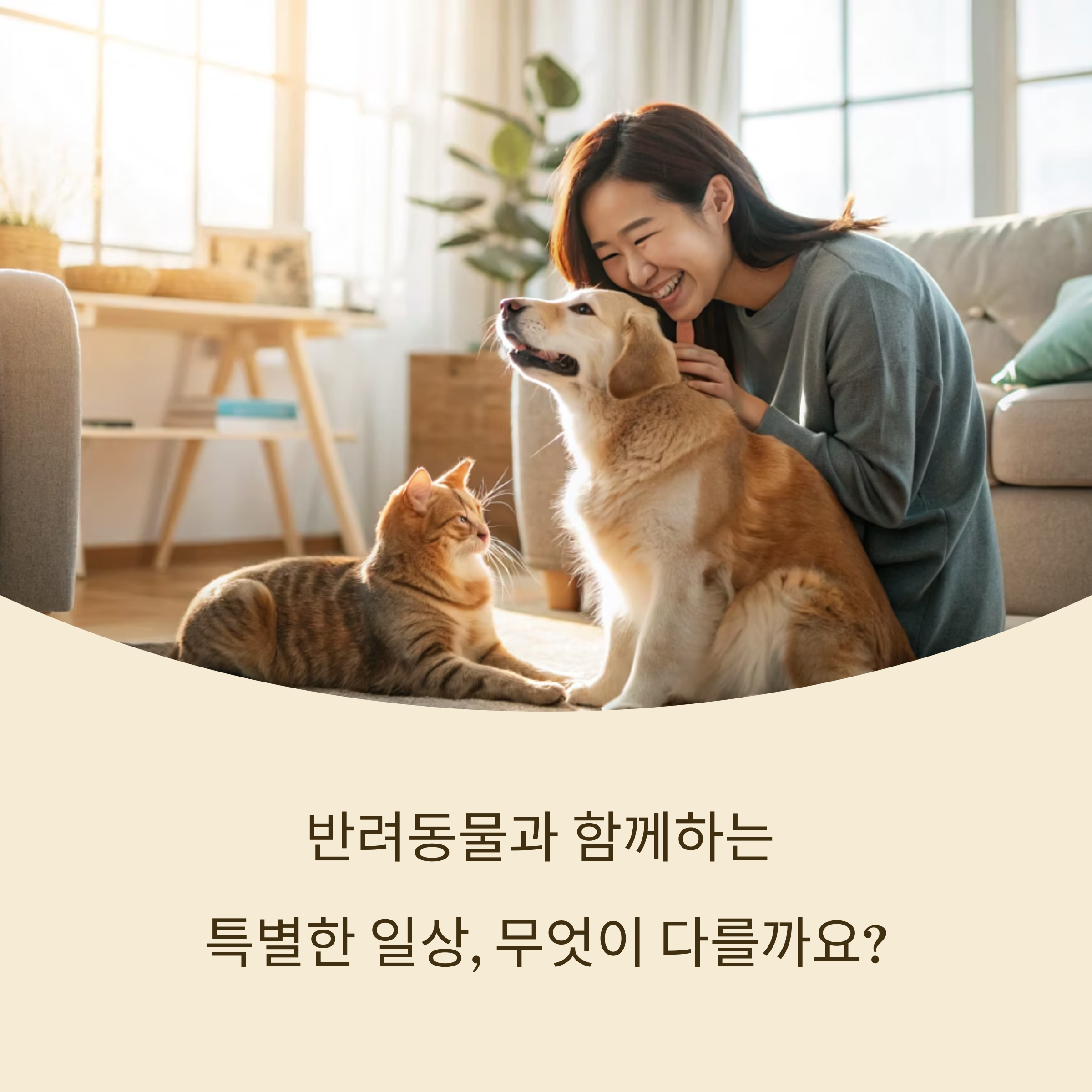 일반 가구와 뭐가 다를까?