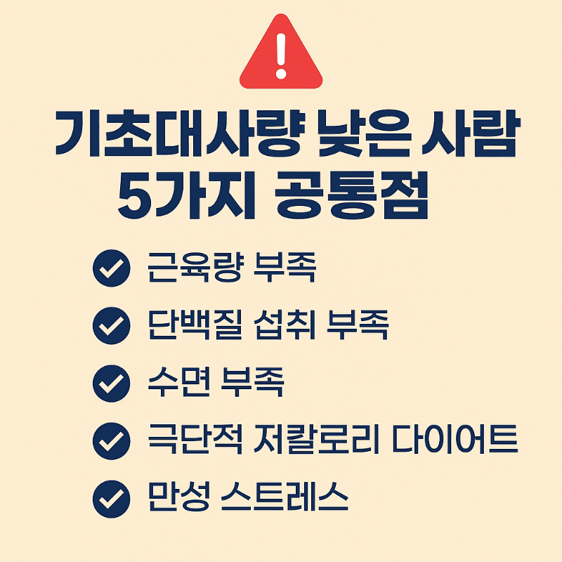 기초대사량 낮은 사람 특징 이미지