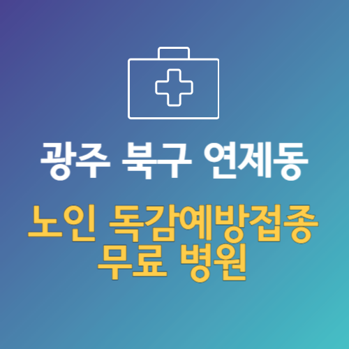광주 북구 연제동 노인 독감예방접종 무료 병원 (인플루엔자 무료 접종 대상 날짜)