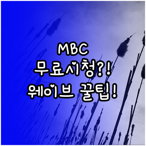 MBC 다시보기 웨이브로 해결 무료 ..
