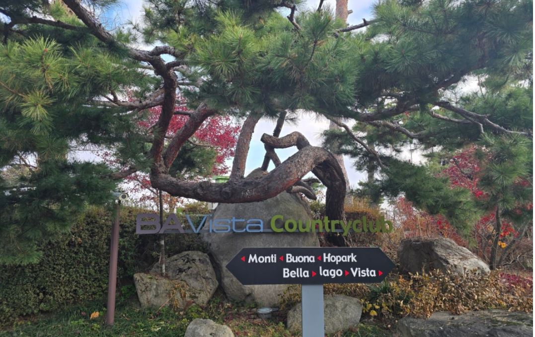 비에이 비스타CC