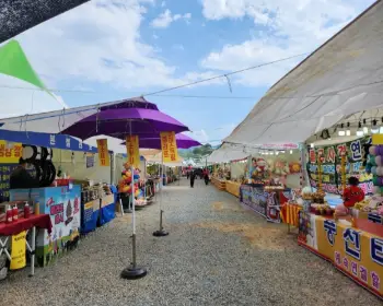 춘천 막국수 닭갈비 축제_4