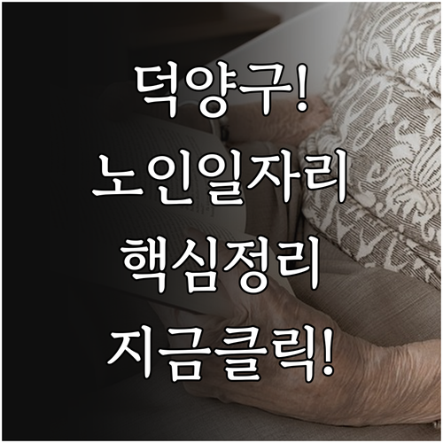 덕양구 시니어클럽 공익활동 사회서비스..