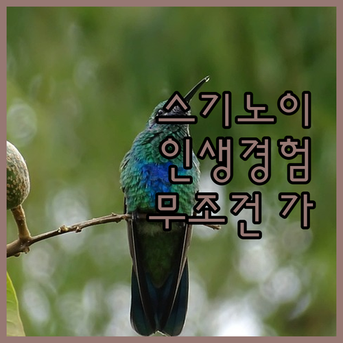 벳푸 스기노이 호텔 절대 놓치지 마세..