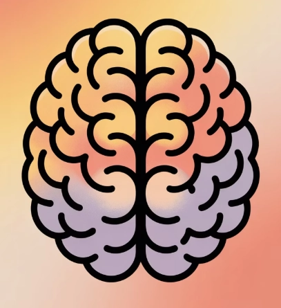 뇌 일러스트 예시 이미지