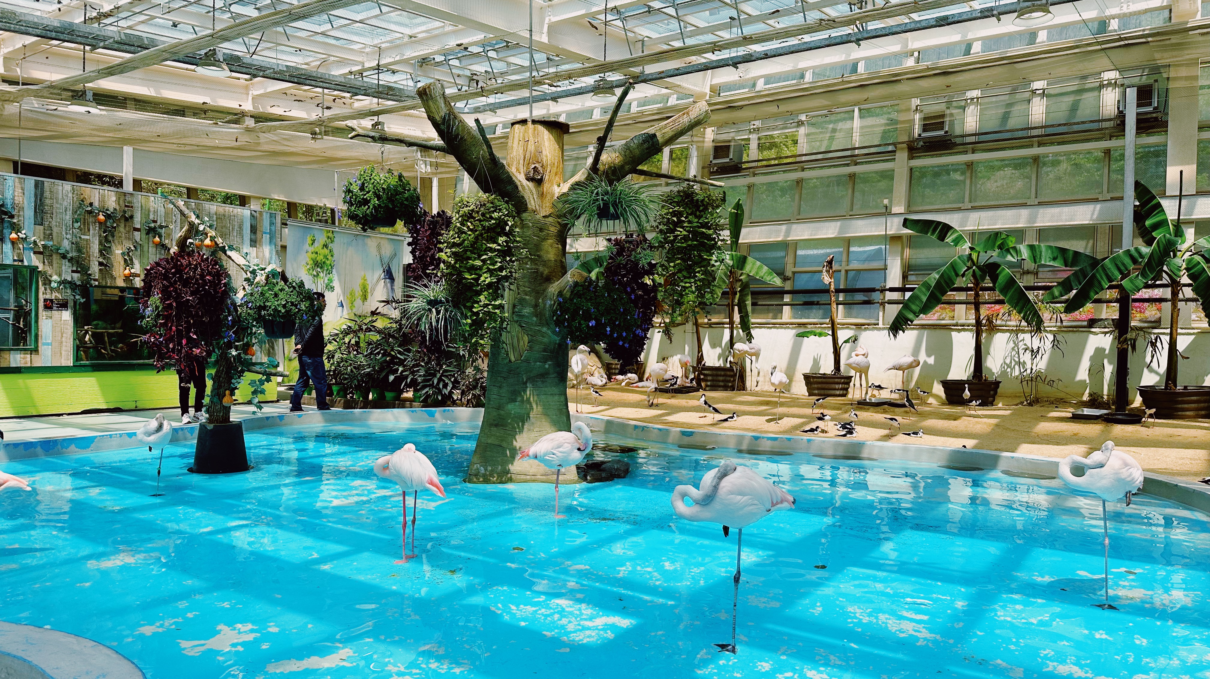 오월드 버드랜드