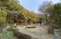 용인자연휴양림 예약
