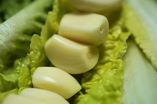 남부, 중부 지방 마늘 심는 시기 수확 시기 심는 방법