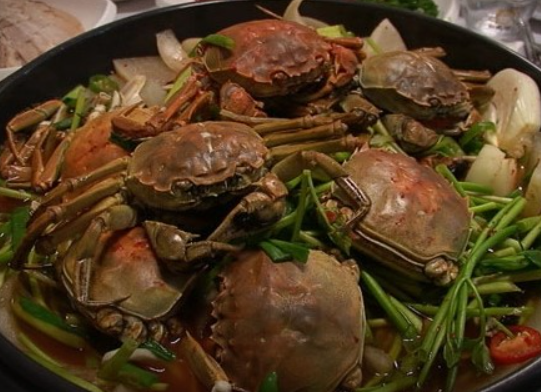 생방송투데이 참게 청양