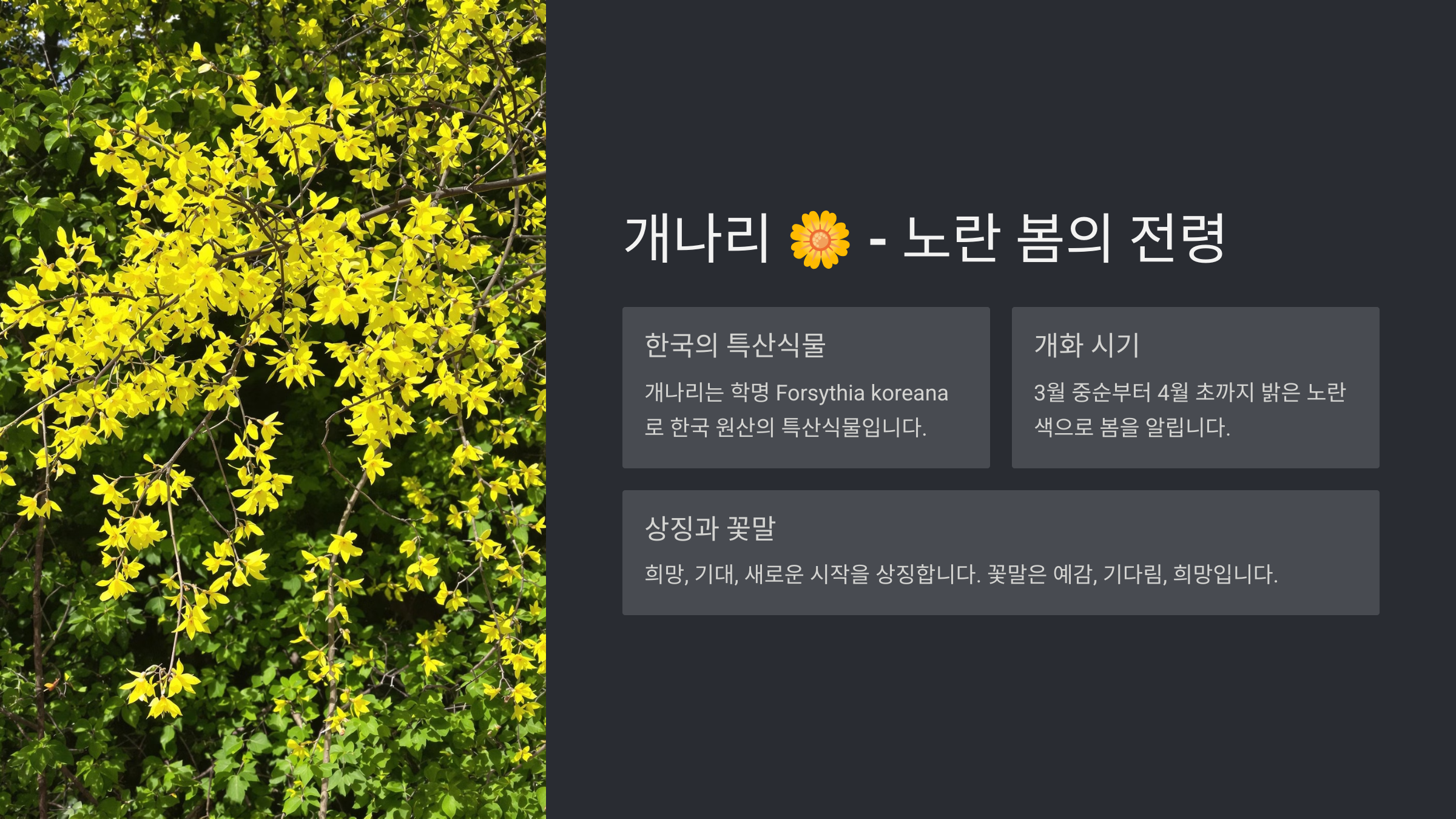 봄꽃 종류와 이름 총정리