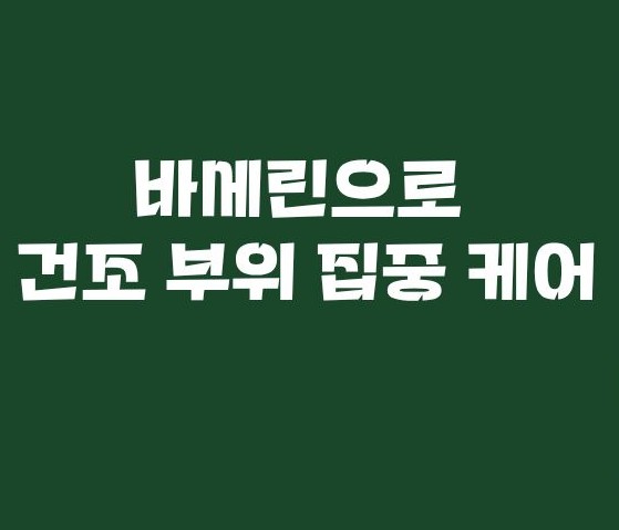 바세린 효능&amp;#44; 활용법