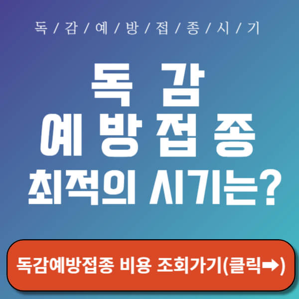 독감 예방접종 시기 썸네일
